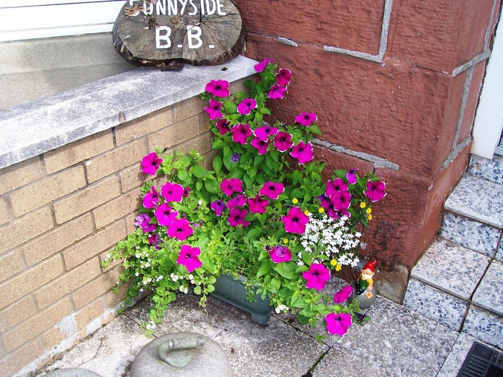 Sunnyside B&B Balloch Exterior photo